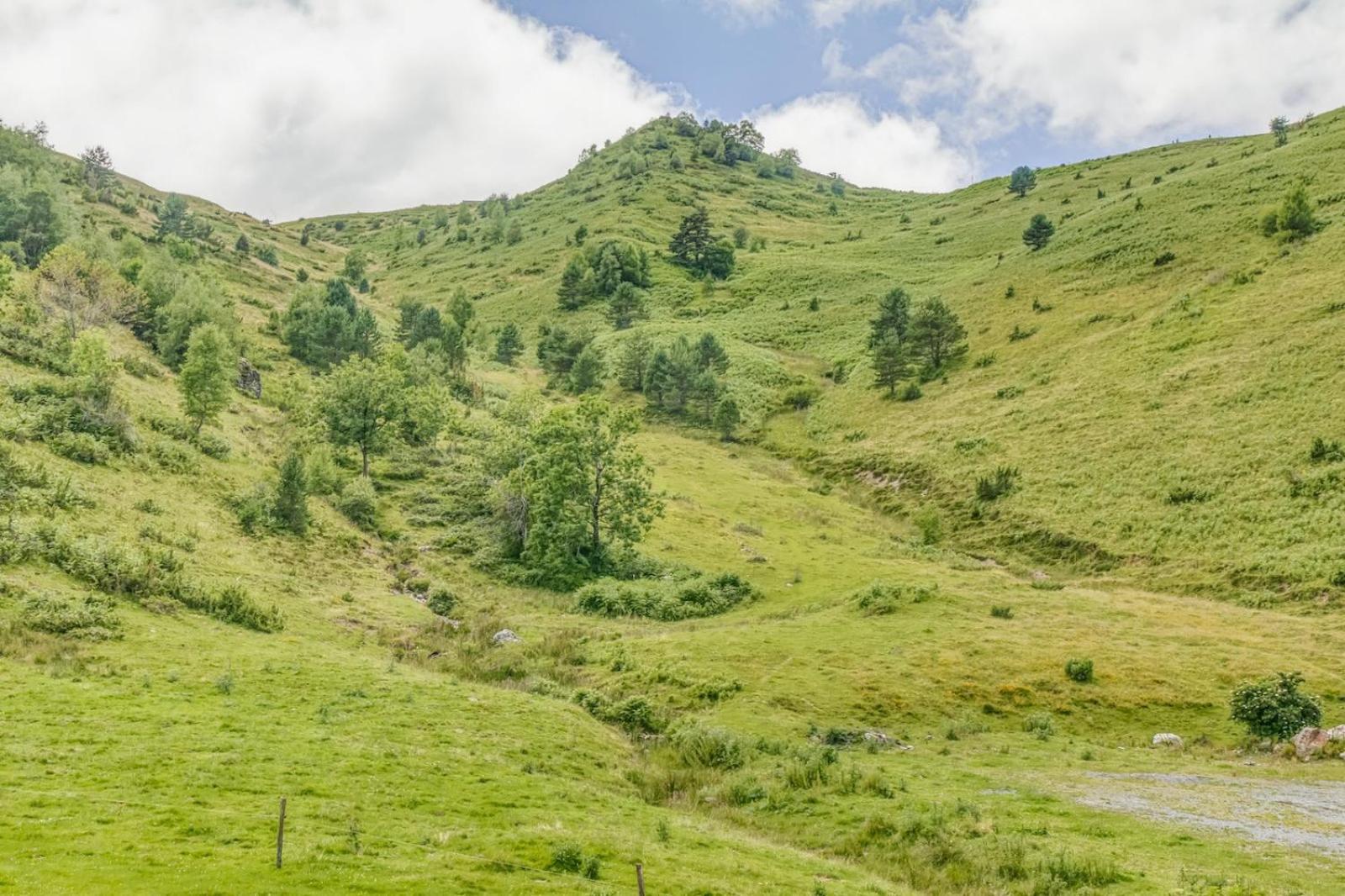 Appartement Alpin A 200M Des Pistes Génos Екстериор снимка